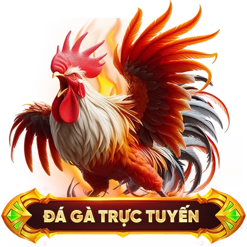 đá gà trực tuyến 12PLAY